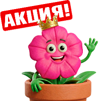 Королева петуний ждёт вас